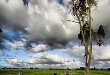 换帅首胜何时来?ESPN预测明日灰熊胜率为41.8%,凯尔特人胜率为58.2%.