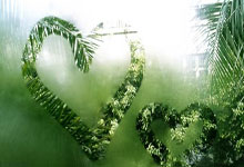 [CBA]季后赛4月29日：浙江VS上海 王哲林集锦.